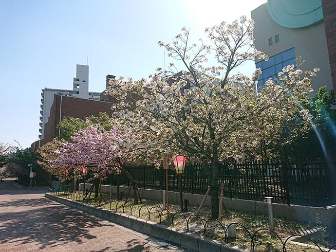 大阪造幣局