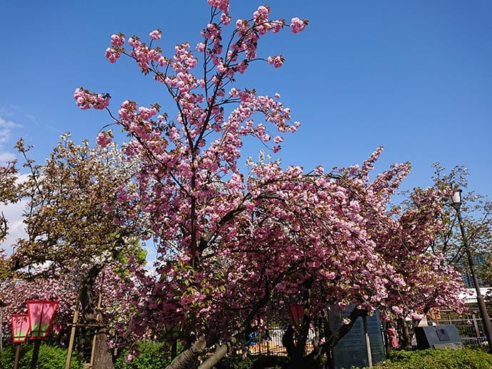 大阪造幣局