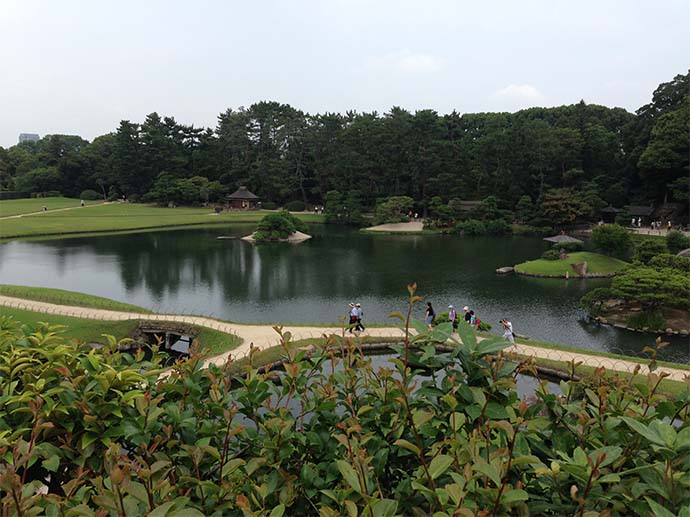 沢の池