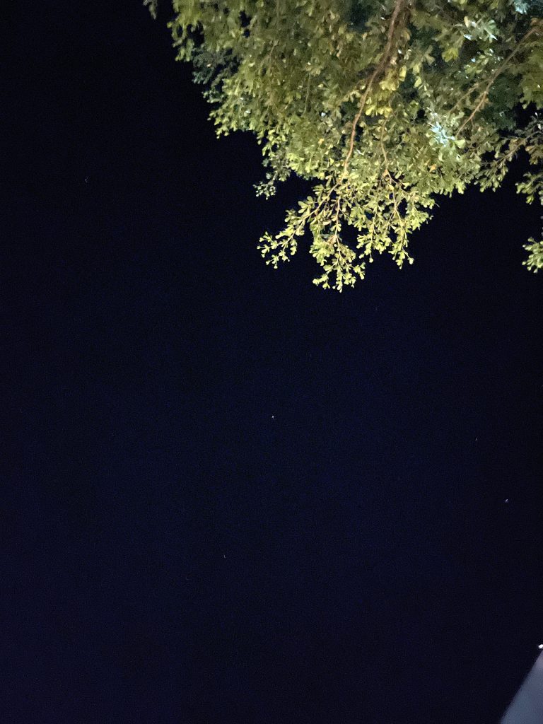 衛生福利人員訓練中心星空