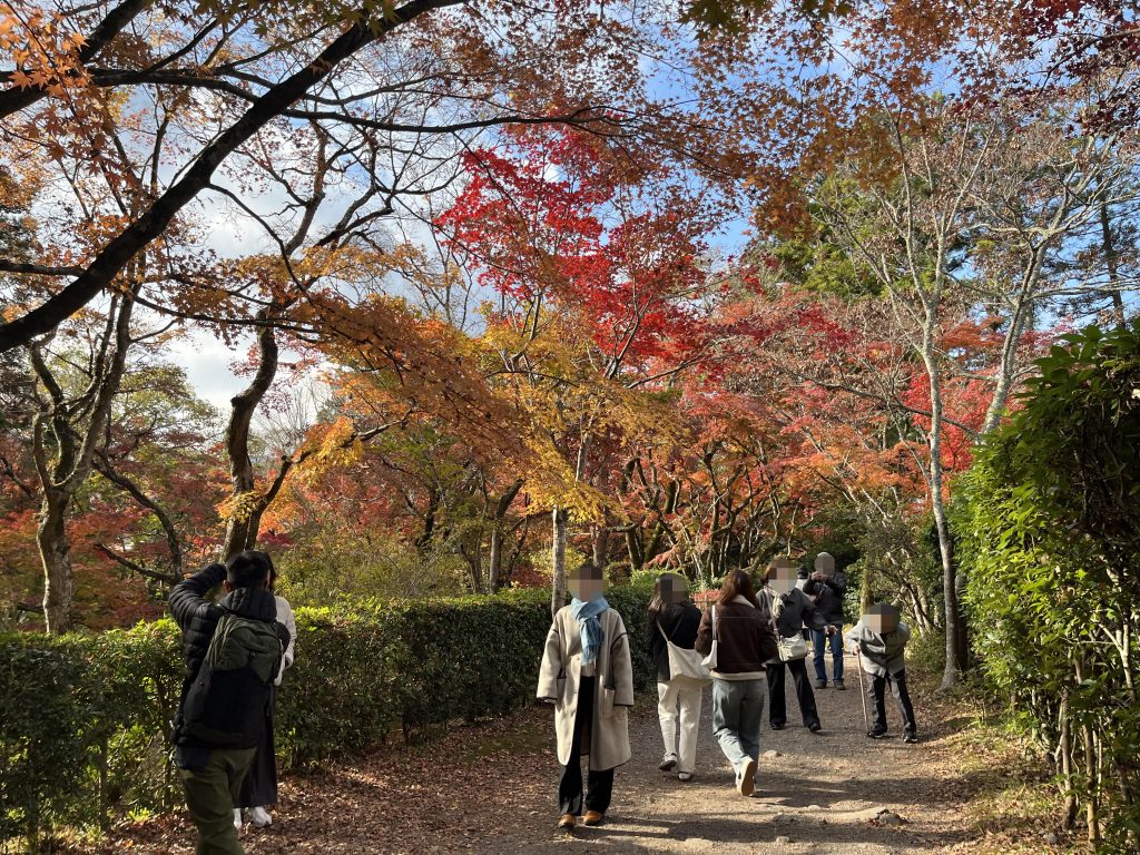 楓葉隧道
