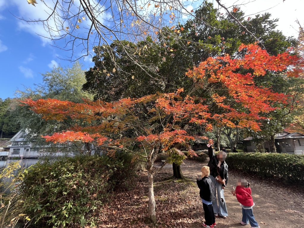 金鱗湖畔步道
