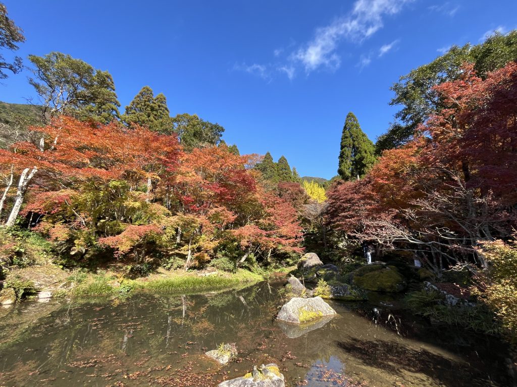 天然溪流引水口與池畔景致