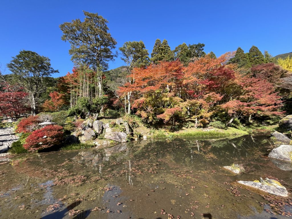池塘倒影（水鏡）與雪吊造景的全景
