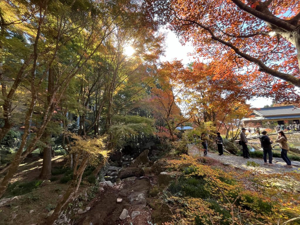 結風遊山莊與谷川溪流的紅葉步道橋與山林水道