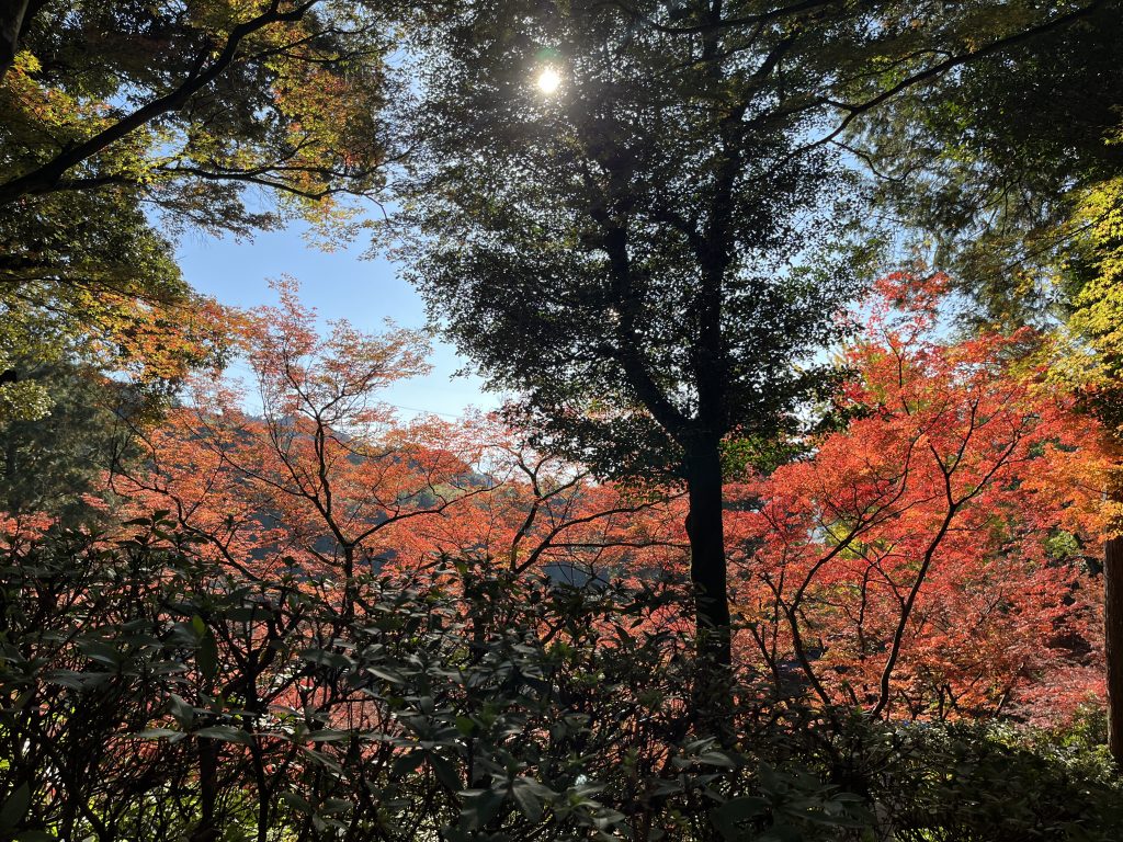 大興善寺