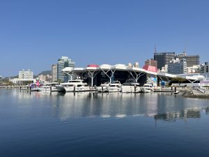 愛河超人力霸王迪卡