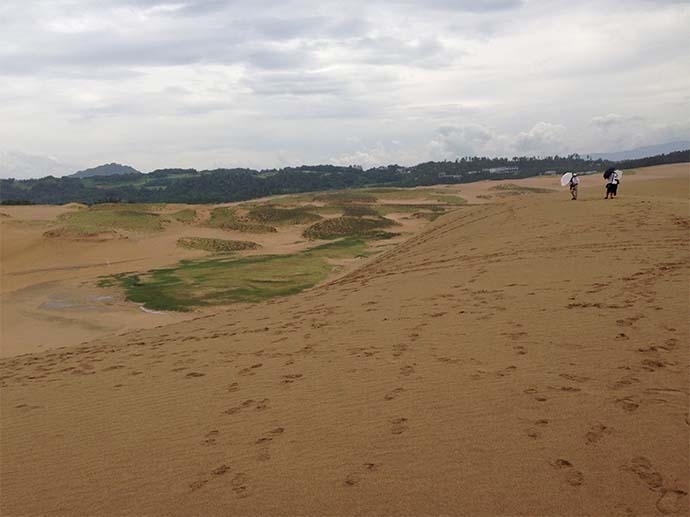 綠洲的低窪地區