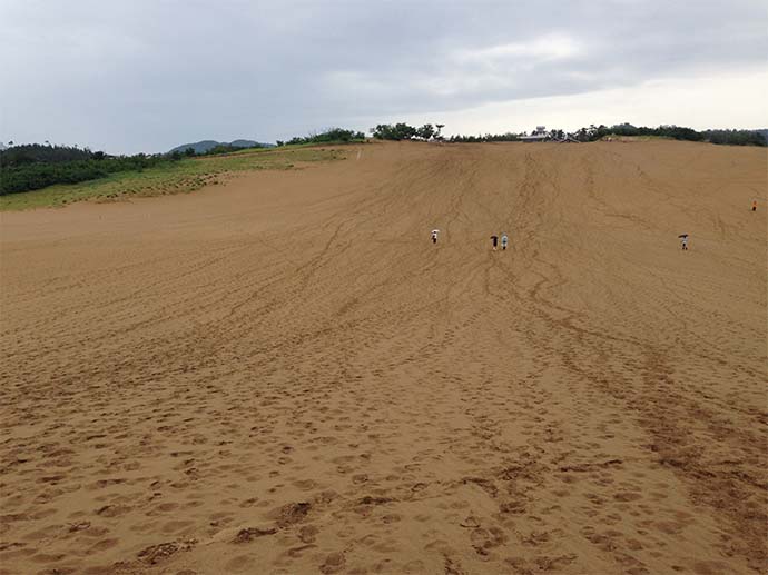 馬背的巨大砂丘