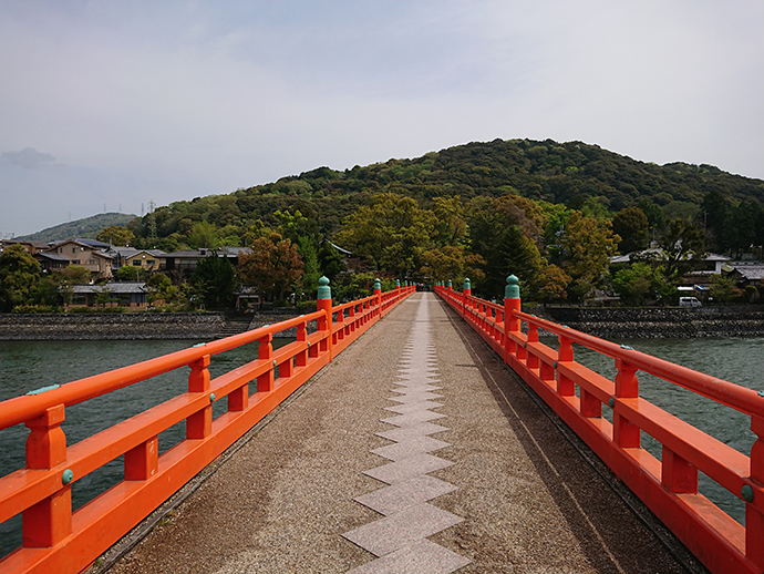 朝霧橋