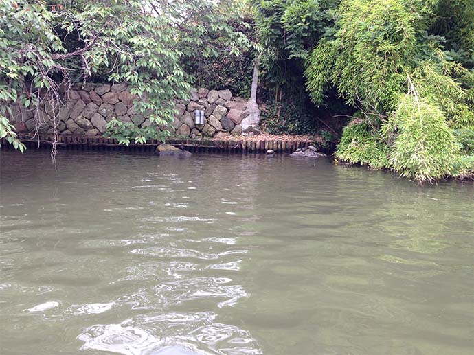 松江城周邊的護城堀_堀川水面