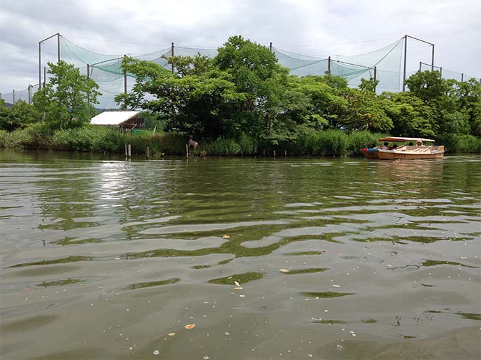 松江城護城河北側至西側一帶的水域景緻