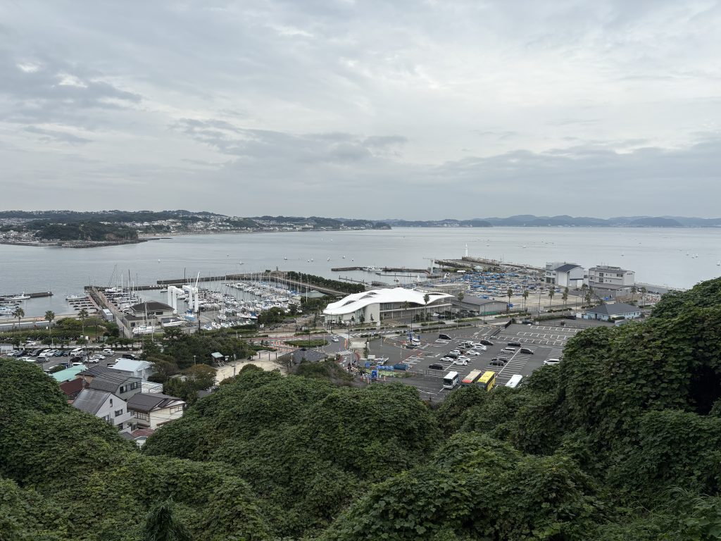 江之島遊艇港（湘南港）與遠眺鎌倉海岸線